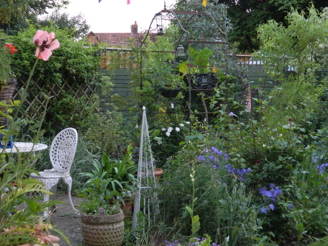 Garden photography by Allison McNally